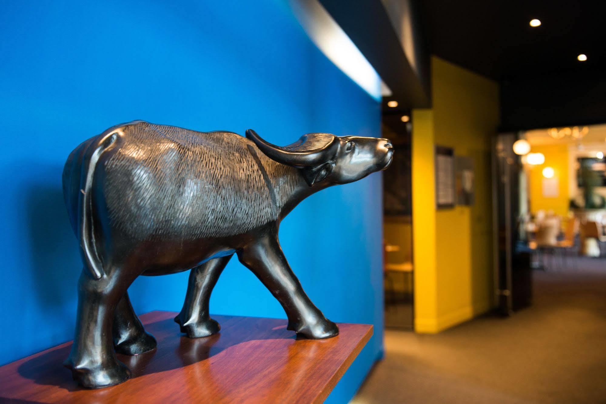 Black Buffalo Hobart Bagian luar foto